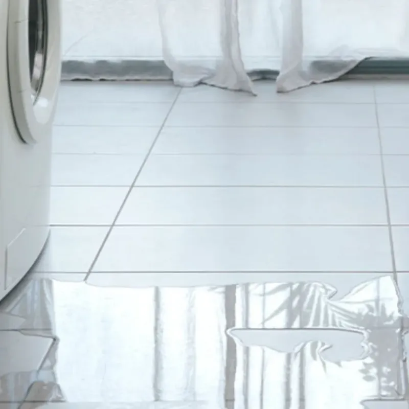 Appliance Leak Cleanup in Mount Olive, AL