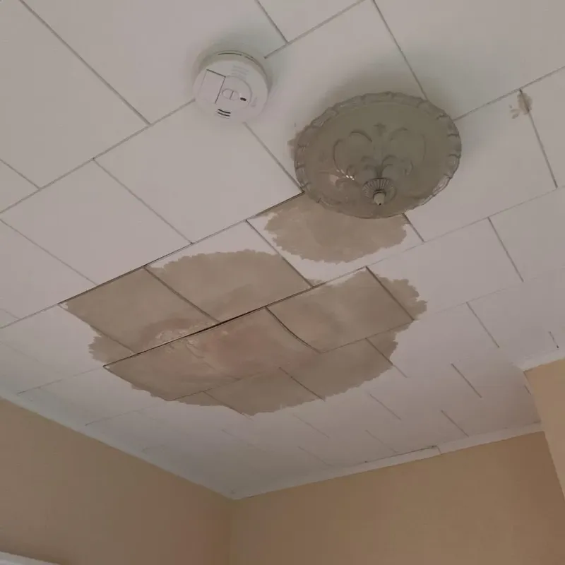 Ceiling Water Damage Repair in Mount Olive, AL