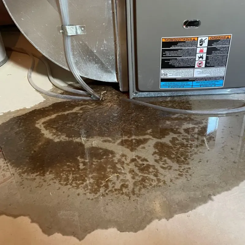 Pipe Burst and Leak Restoration in Mount Olive, AL
