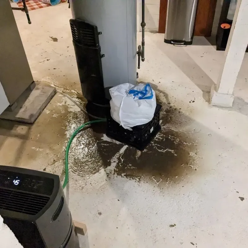 Sewage Backup Cleanup Service in Mount Olive, AL